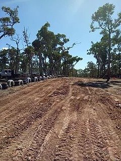 Dirt Drags