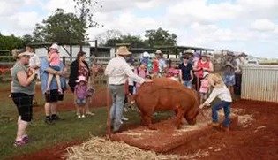 June Farm Tour