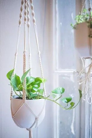 Macrame Plant Hanger Workshop